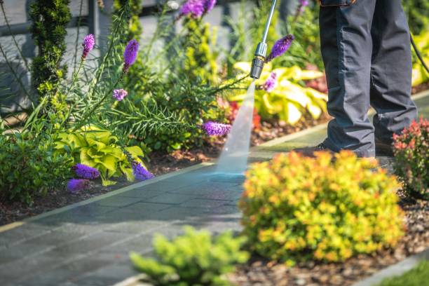 Best Fence Cleaning  in Cayce, SC