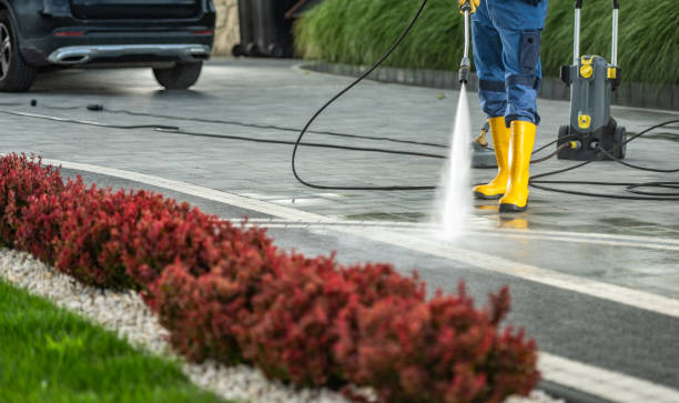 Best Building Exterior Washing  in Cayce, SC